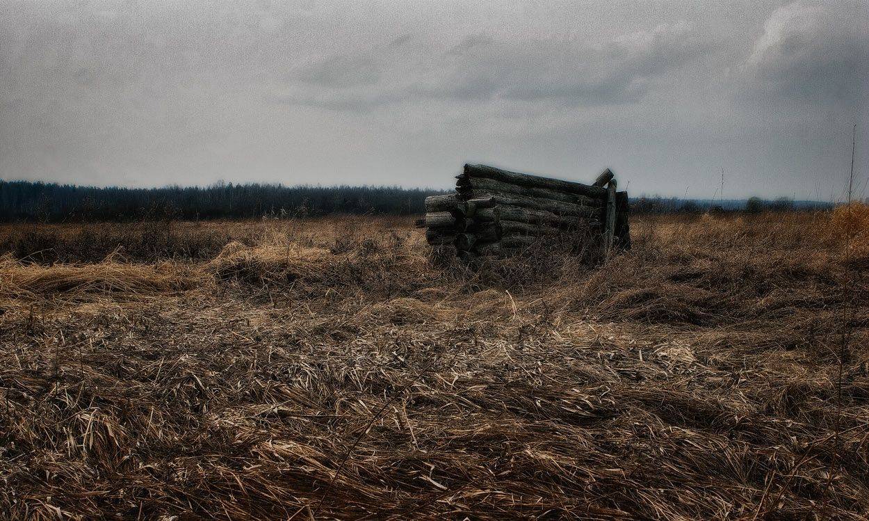 , Владимир Липецких