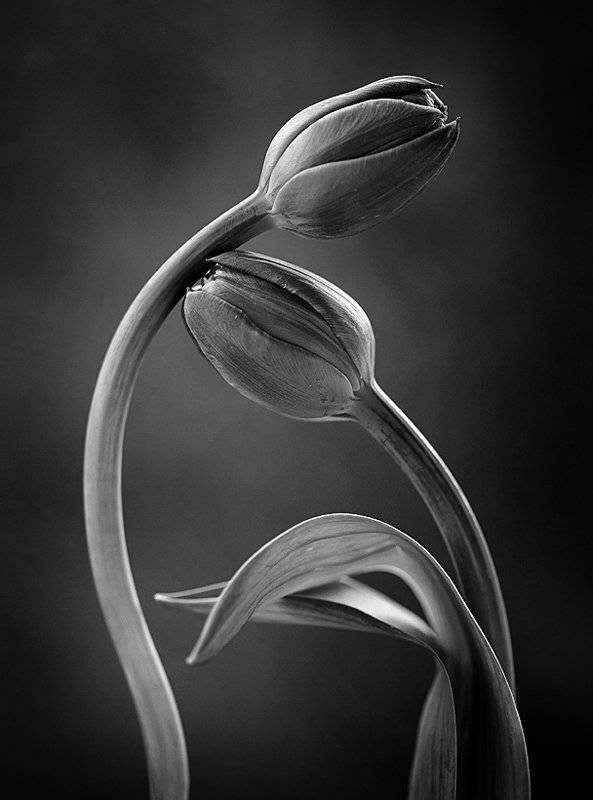 , Kasia Mycatherina Pietraszko