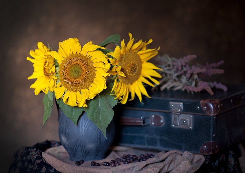 ... перед дорогой фото превью