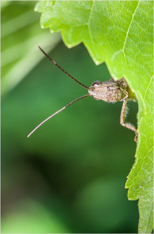 ... фото превью