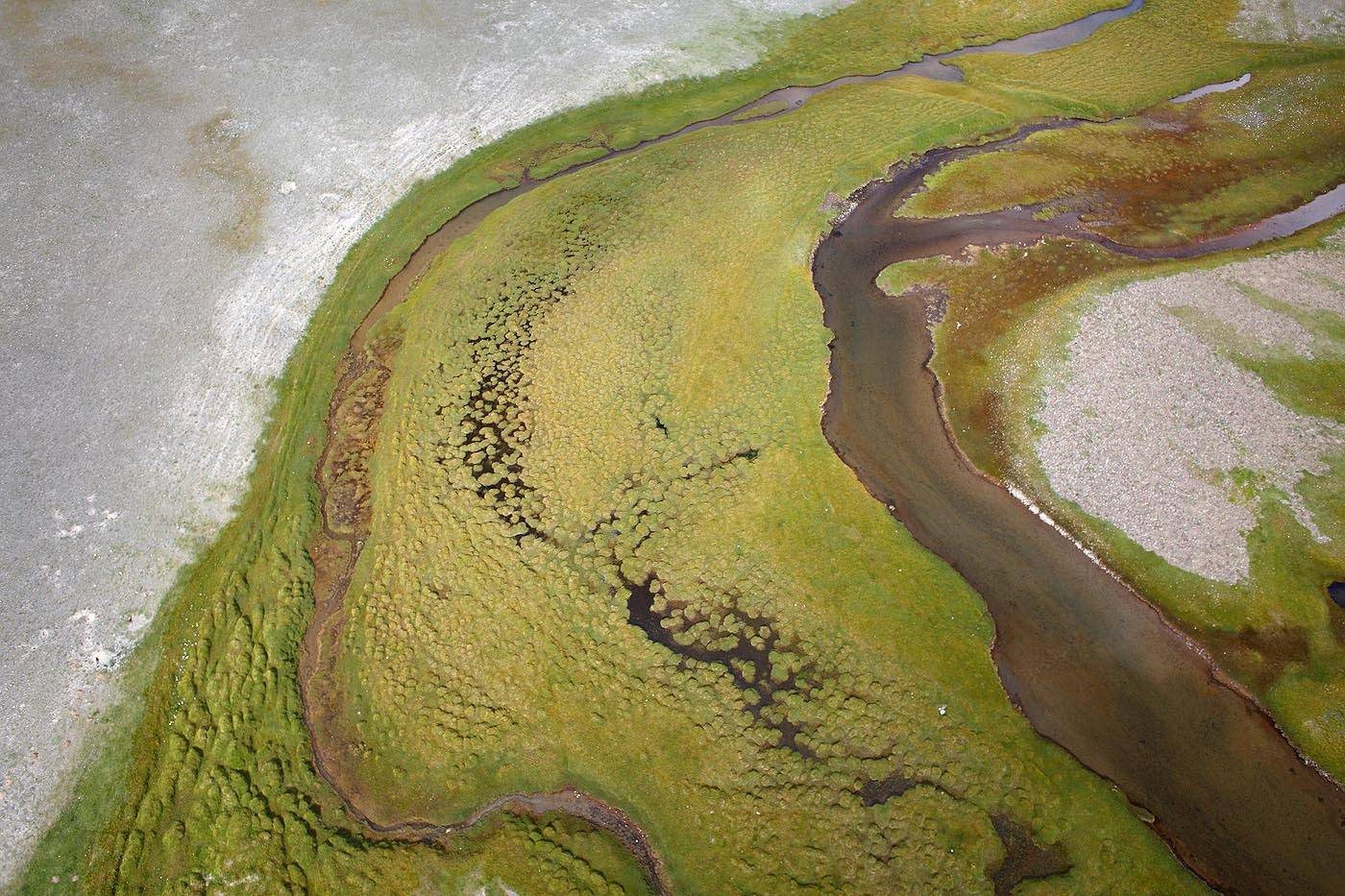 монголия, Борис Резванцев