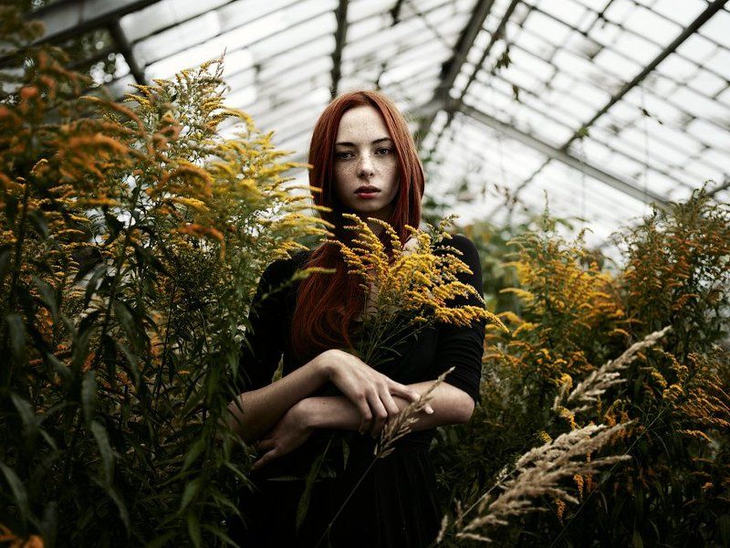 The taste of yellow фото превью