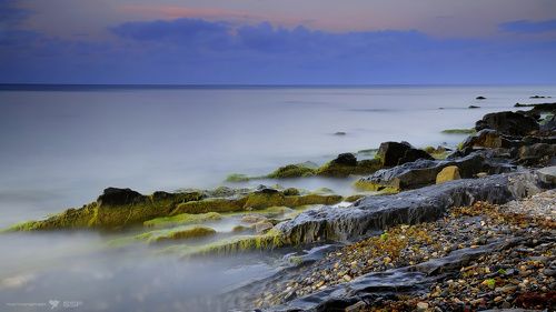 Зеленый берег