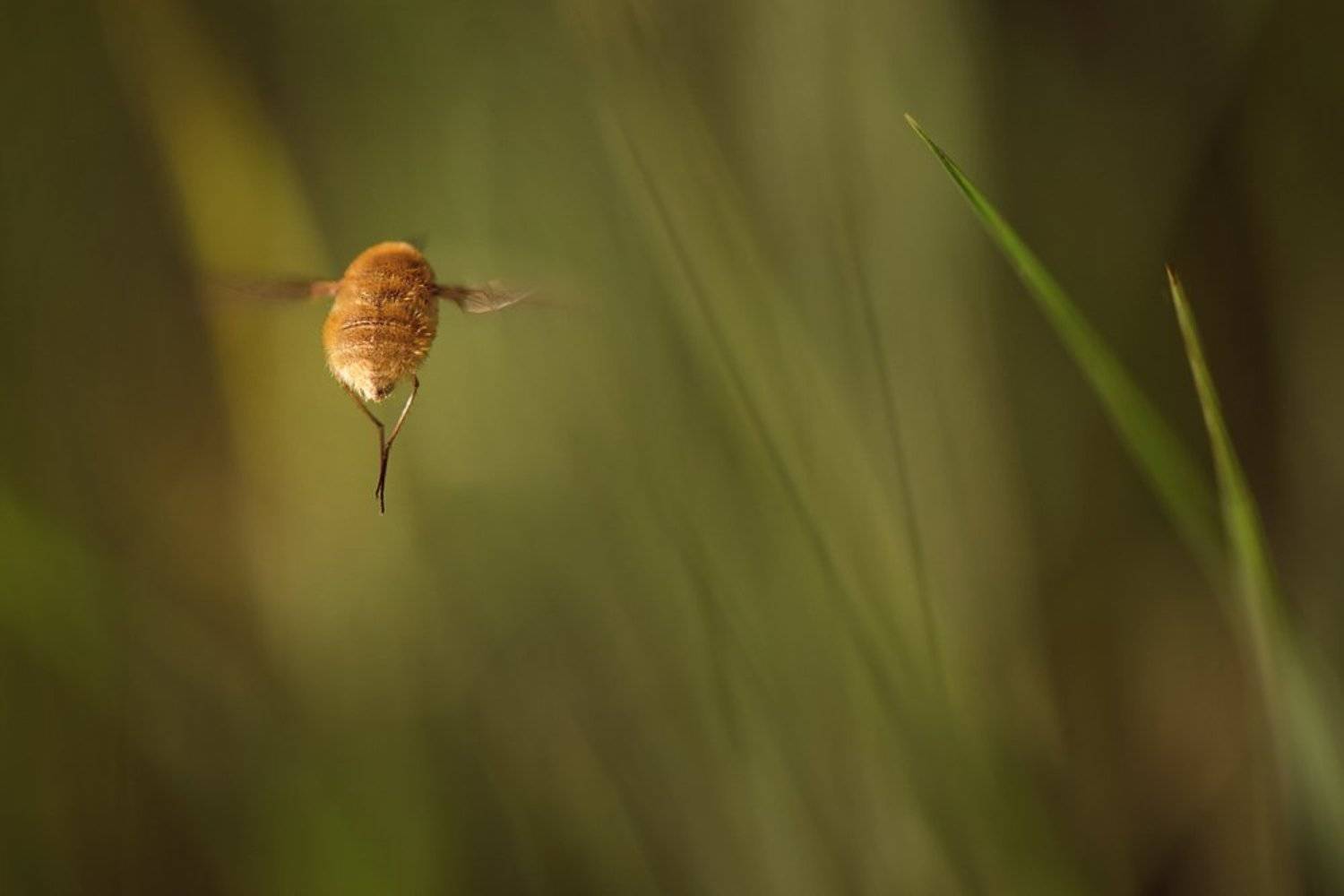 , Татьяна Аверина