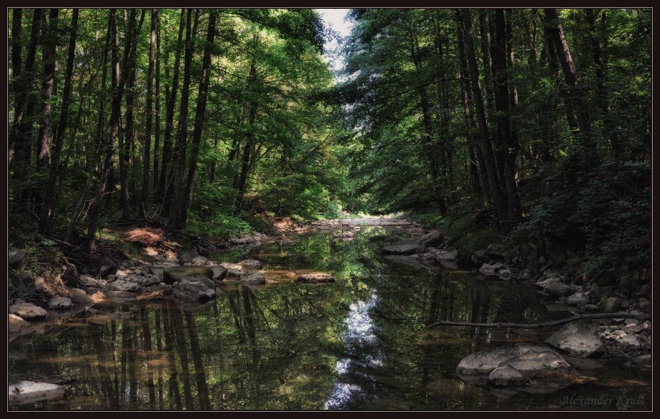 лес, речка, кавярзе, Александр Круль
