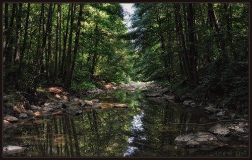 В дебрях Кубанских предгорий...