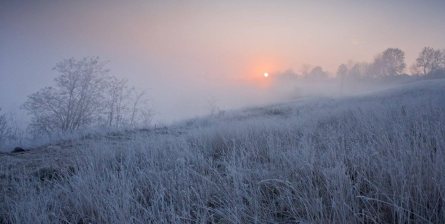 , Wolodymer Mjaskowskuj