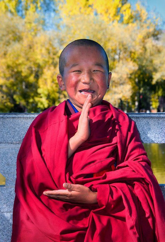 буддизм, лхаса, монах, тибет, улыбка Портрет смешного монаха фото превью