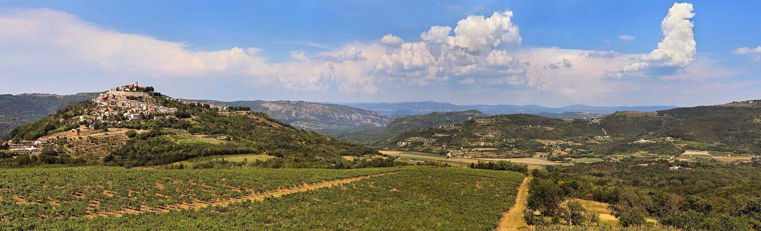 , Игорь Дубровский