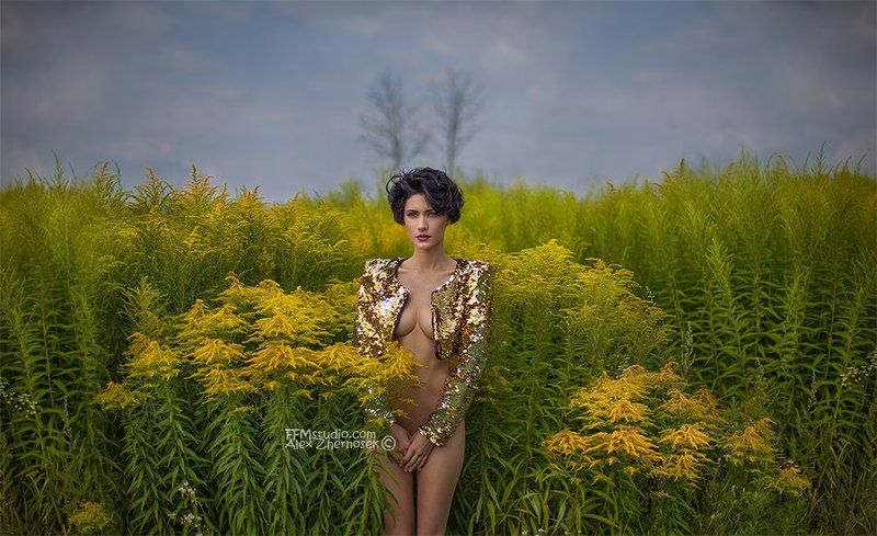 Golden heaven Deer...#6990 фото превью