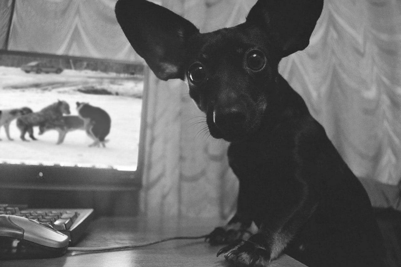 , Воронин Вова