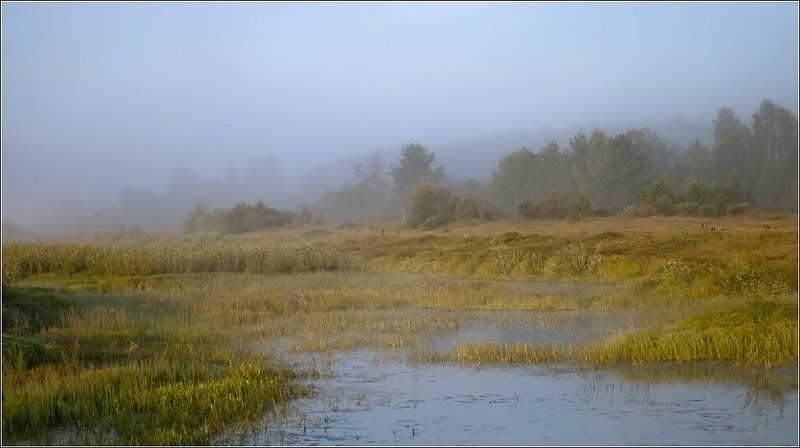Осень наступает фото превью