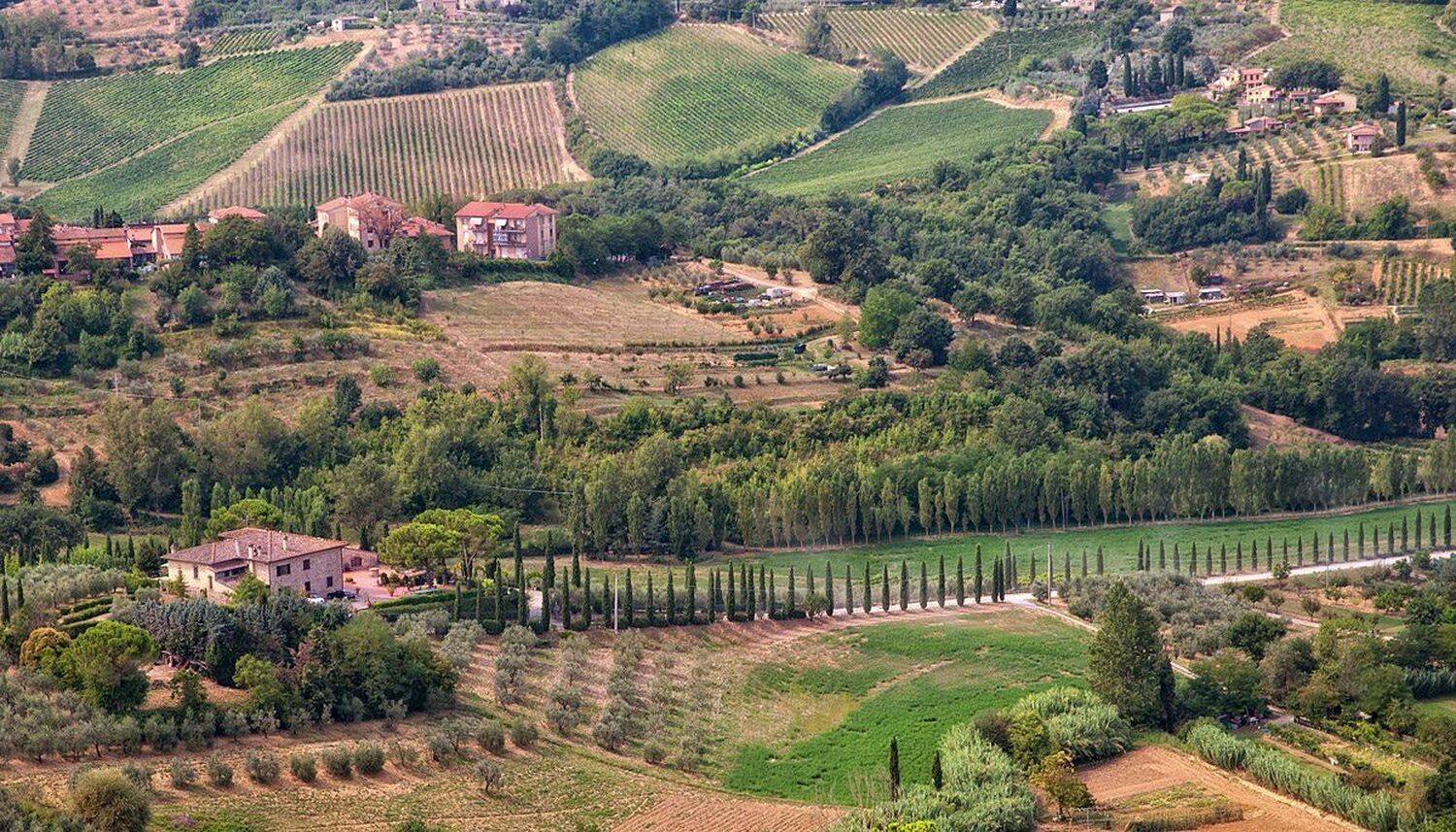 , Ирина Костова