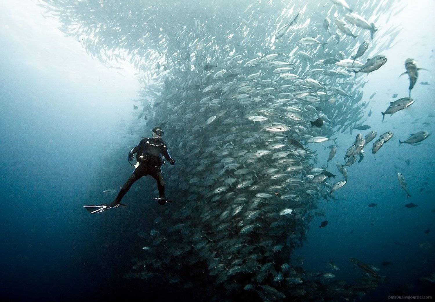 , Александр Сафонов