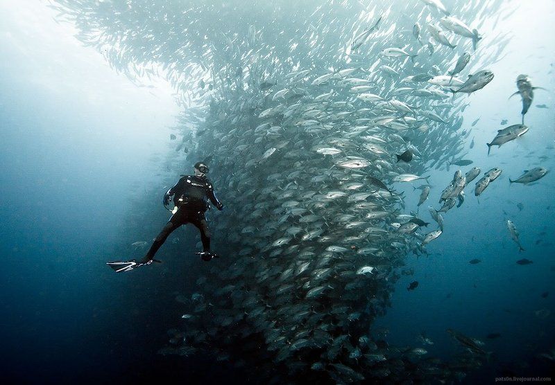 nitrogen trip фото превью