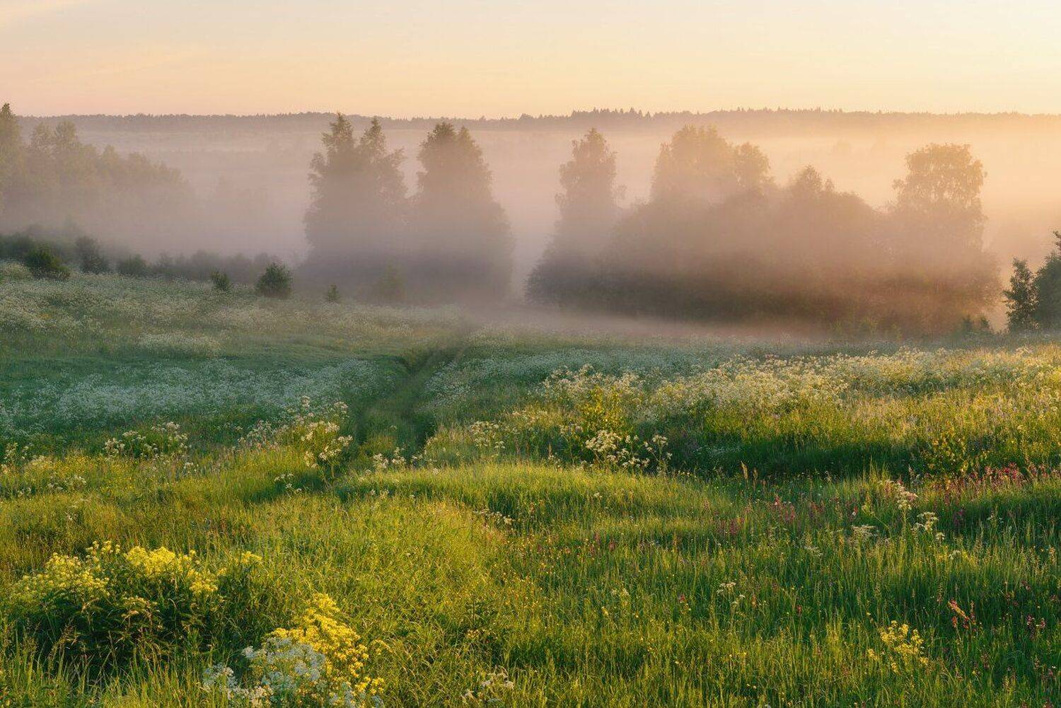, Максим Евдокимов