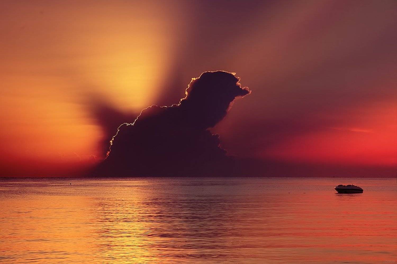 , Аркадий Усиков