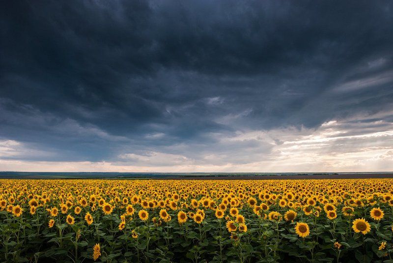 По киевской трассе фото превью