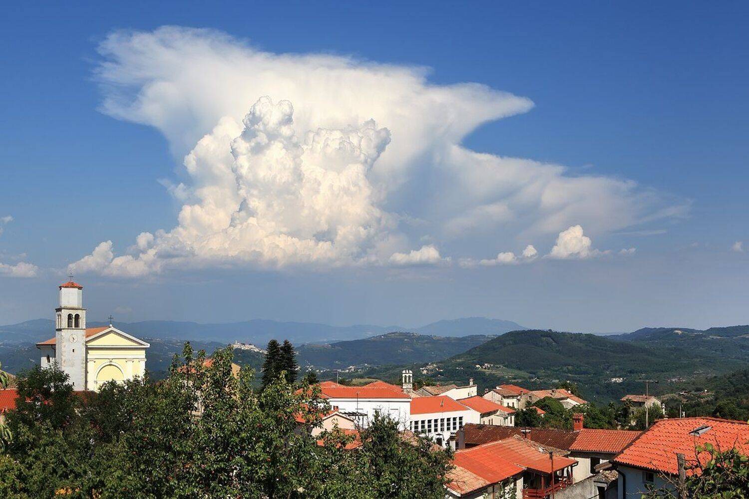 , Игорь Дубровский