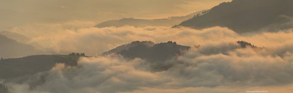, Антон Петрусь