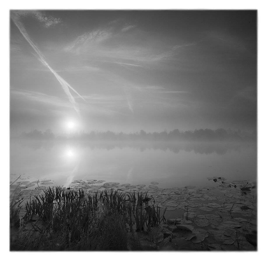, Andrey Fedoseev