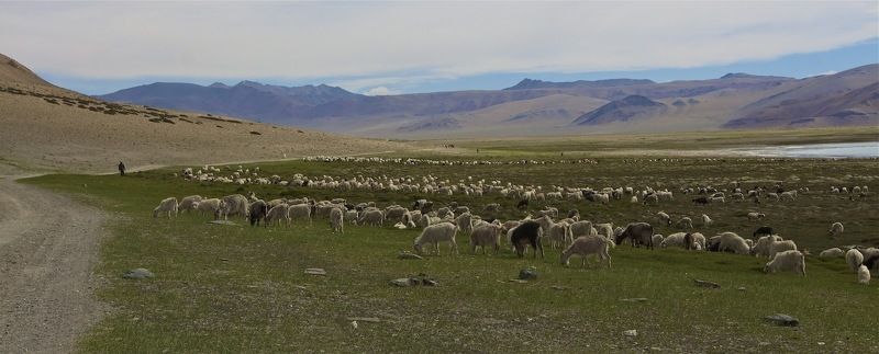 …. фото превью