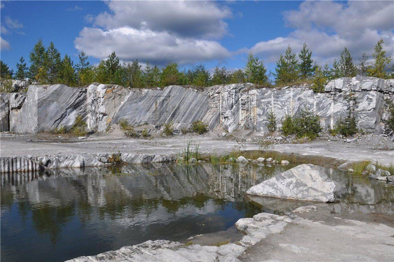 , Лариса Запатрина