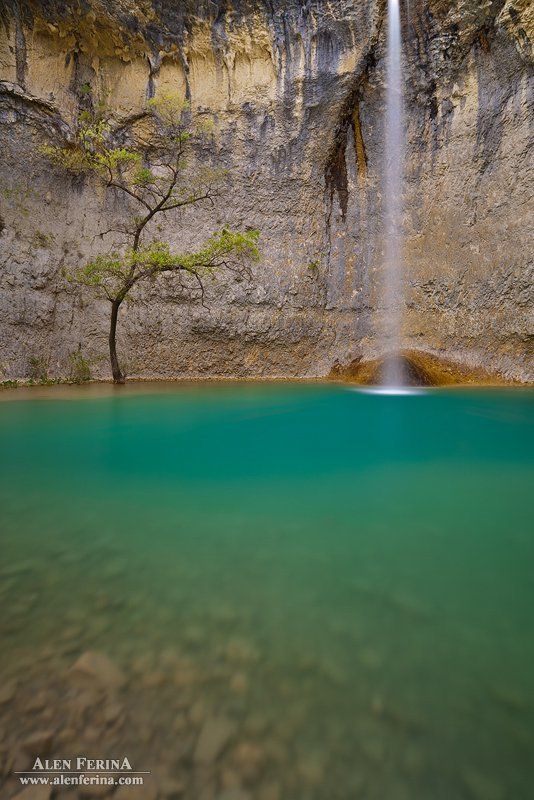 зэн фото превью