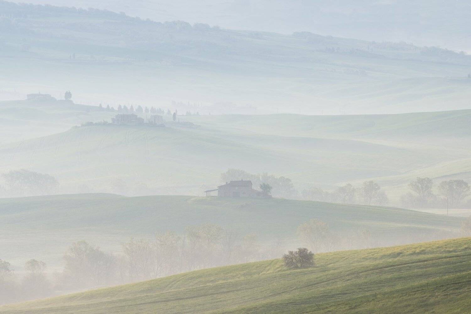 тоскана, Марина Маликова