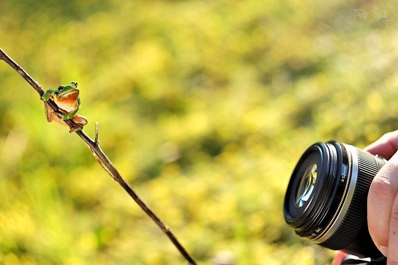 Ø 52 mm фото превью