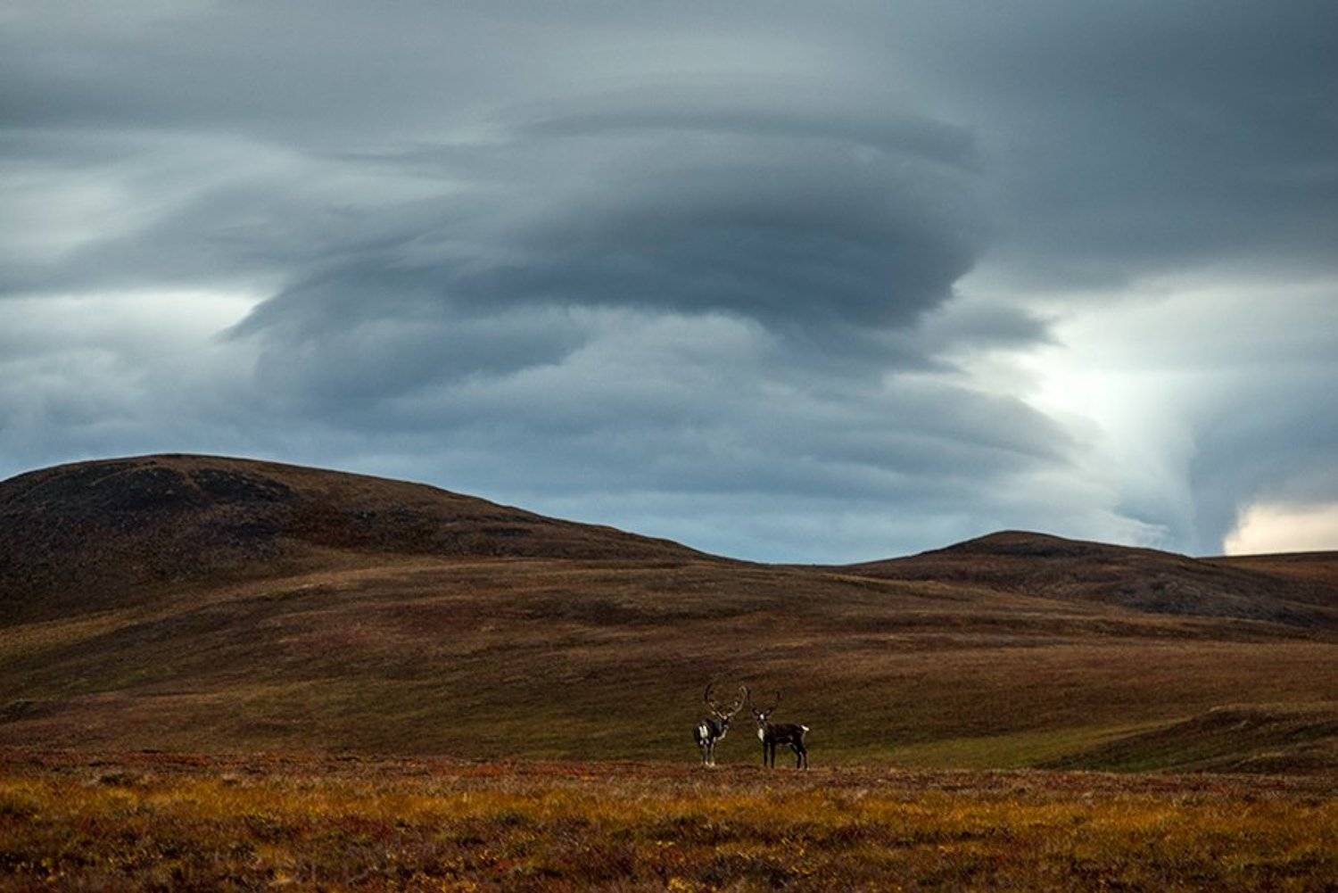 , Иван Кислов