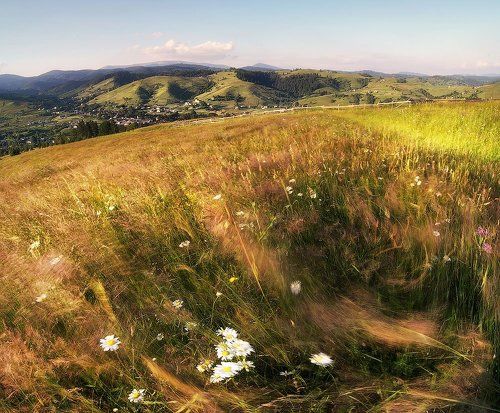 Ветерок уходящего дня