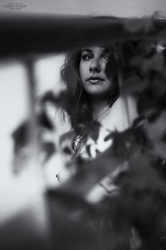 *** фото превью