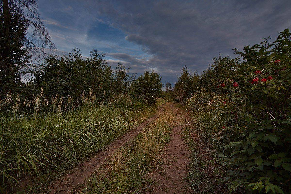 купавна., подмосковье, Андрей Леонидович