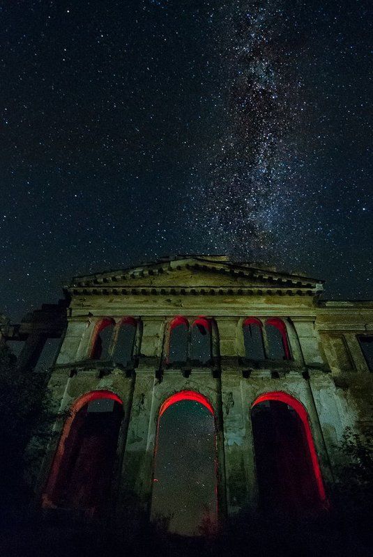 Дом с волками фото превью