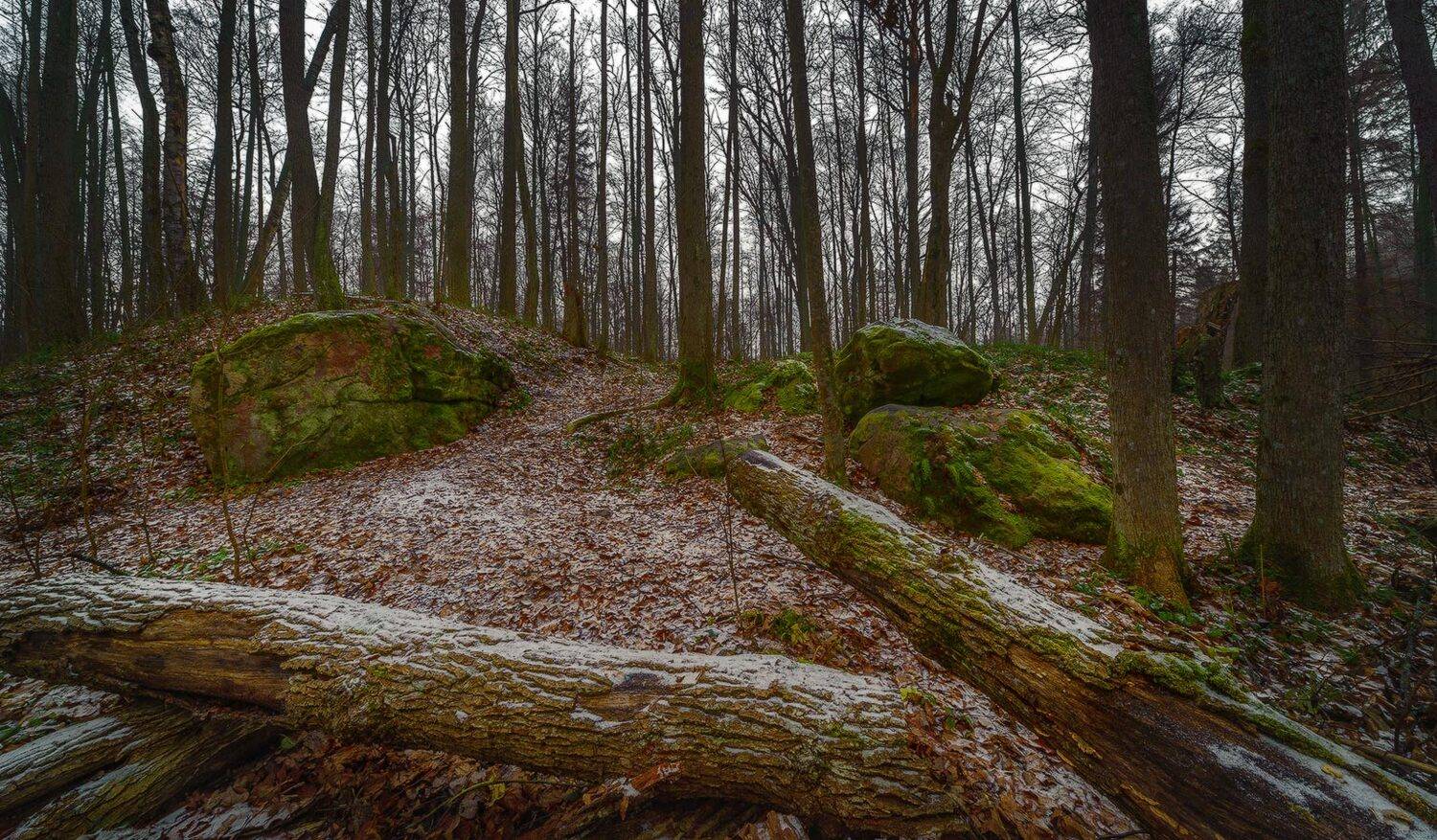 , Олег Логунов