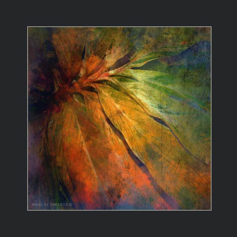 , николай дмитрук