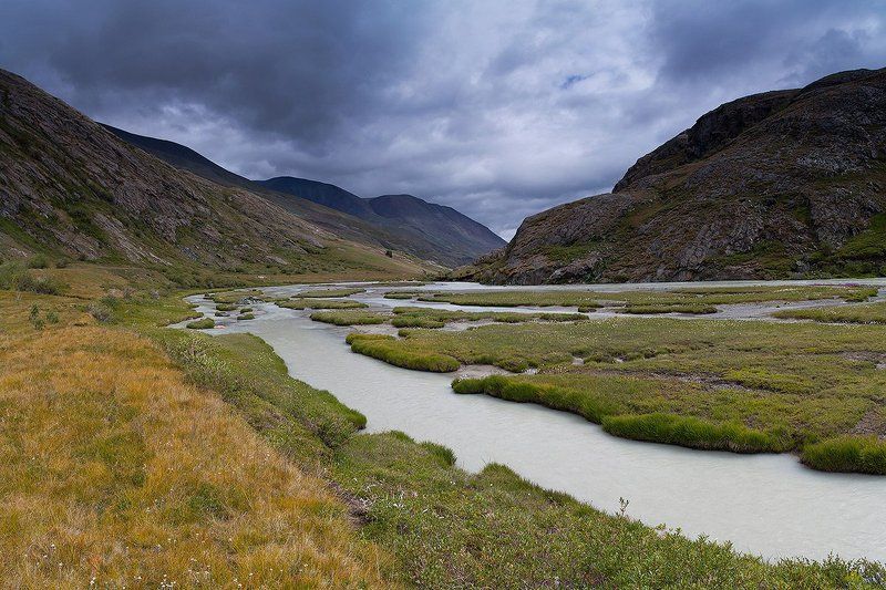 мягкий взгляд назад фото превью