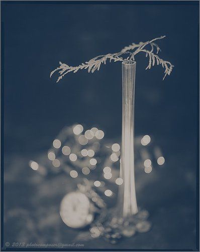 19th Century (Bokeh Study #4)