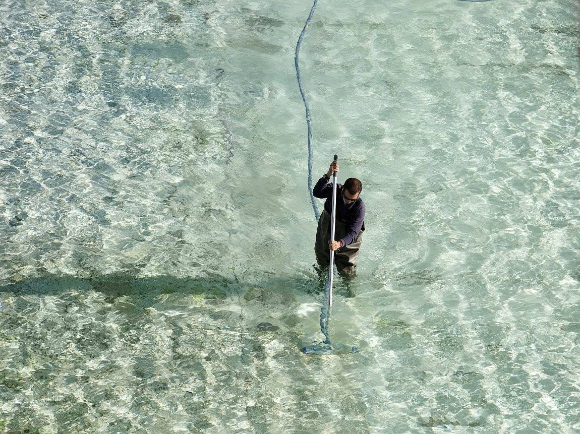 , Андрей Краснопольский