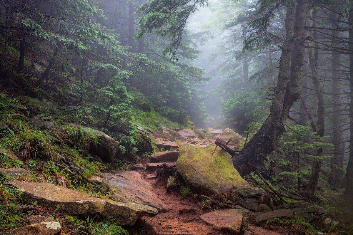 Карпаты, Украина, Сергей Ершов