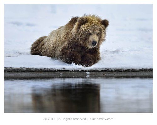 Тот, кто живет в озере
