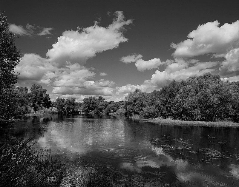 Bw, Film, Landscape, Mamiya  фото превью