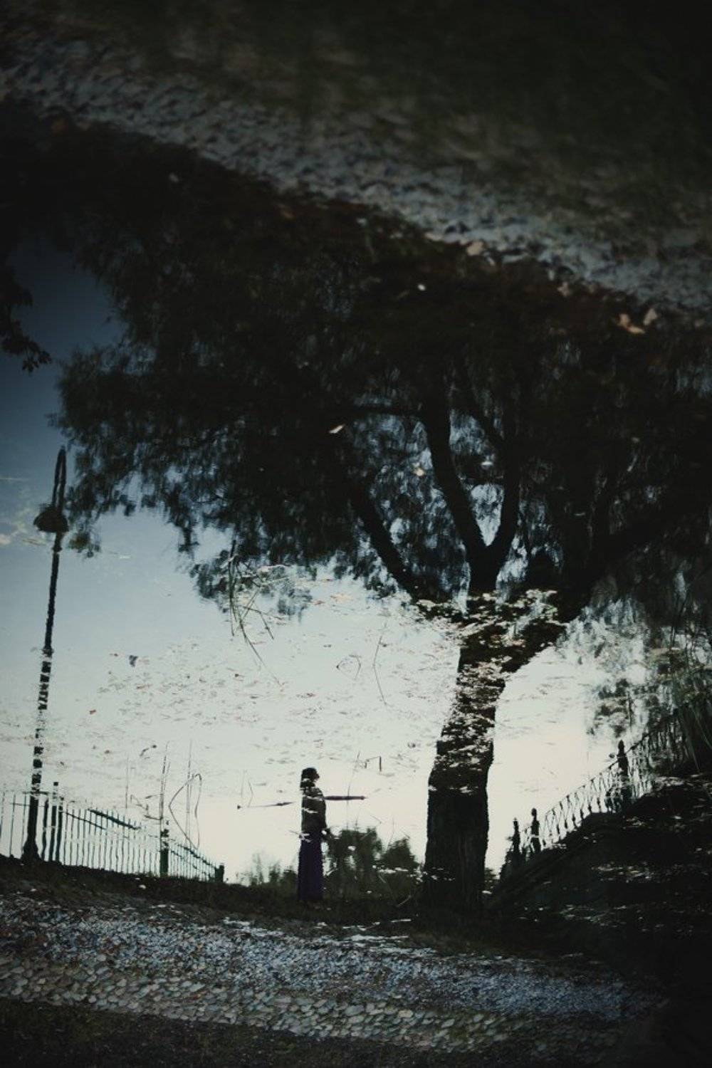 , Микаэлла Сперанская