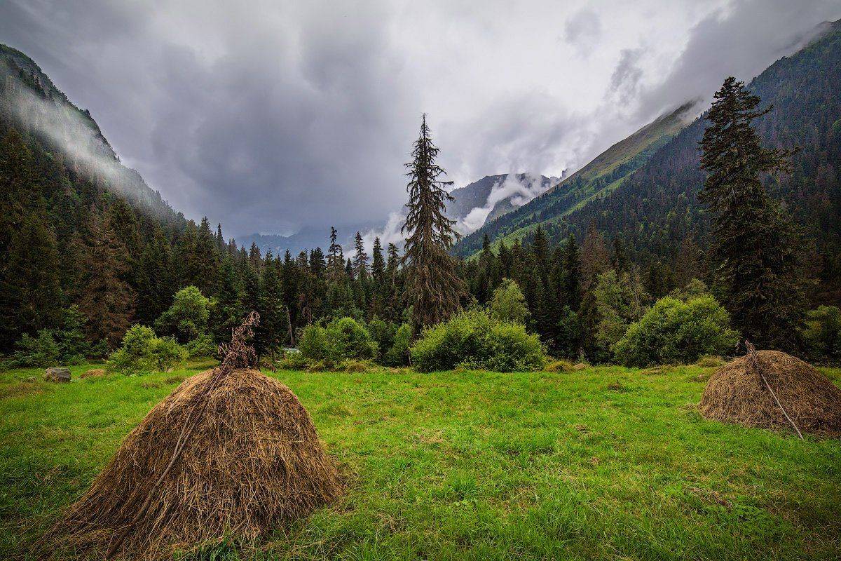 , Вадим Ходаковский