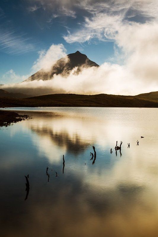 Pico фото превью