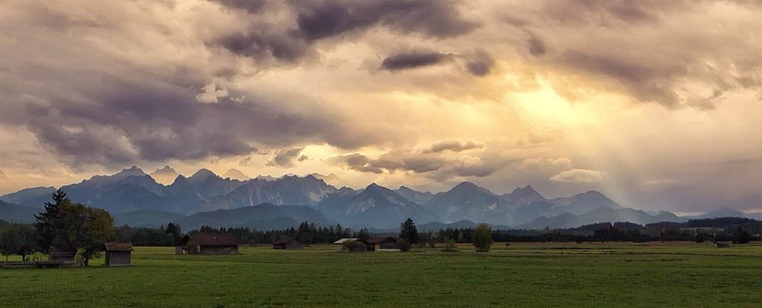 , Игорь Дубровский