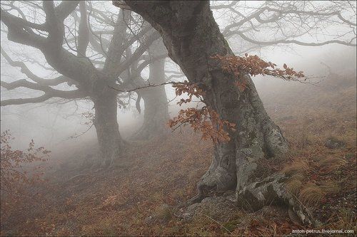 Настящая осень