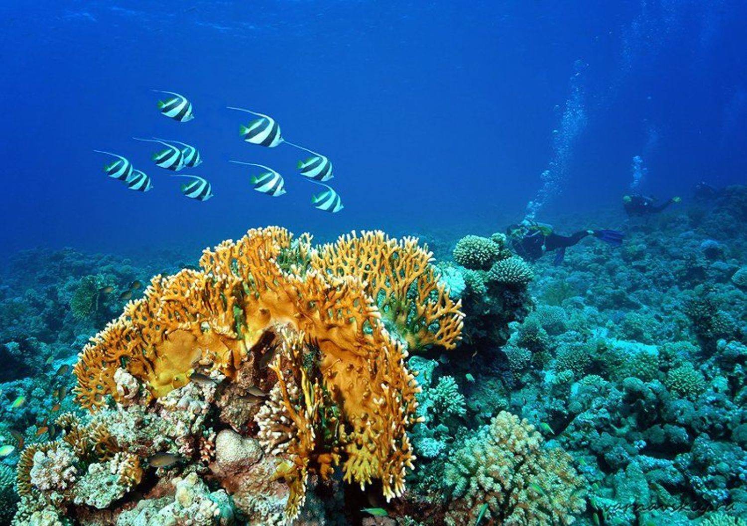 , Евгений Варнавский