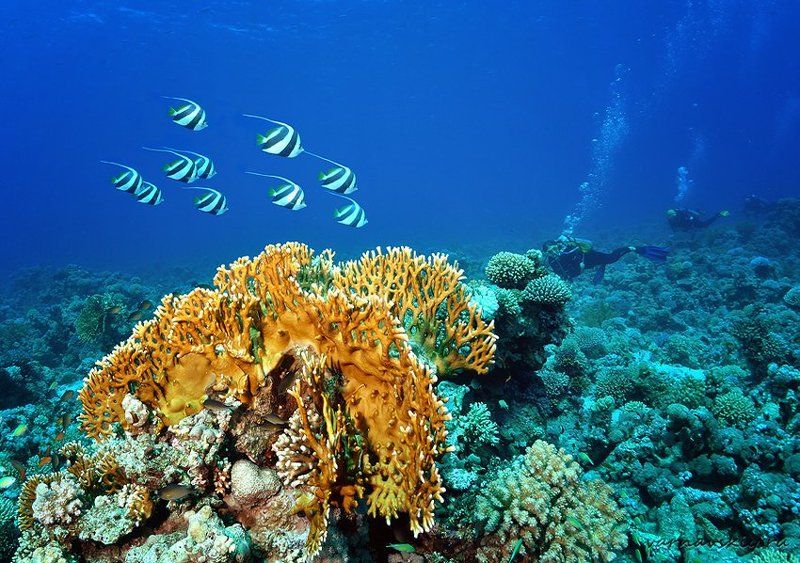 Прятки фото превью